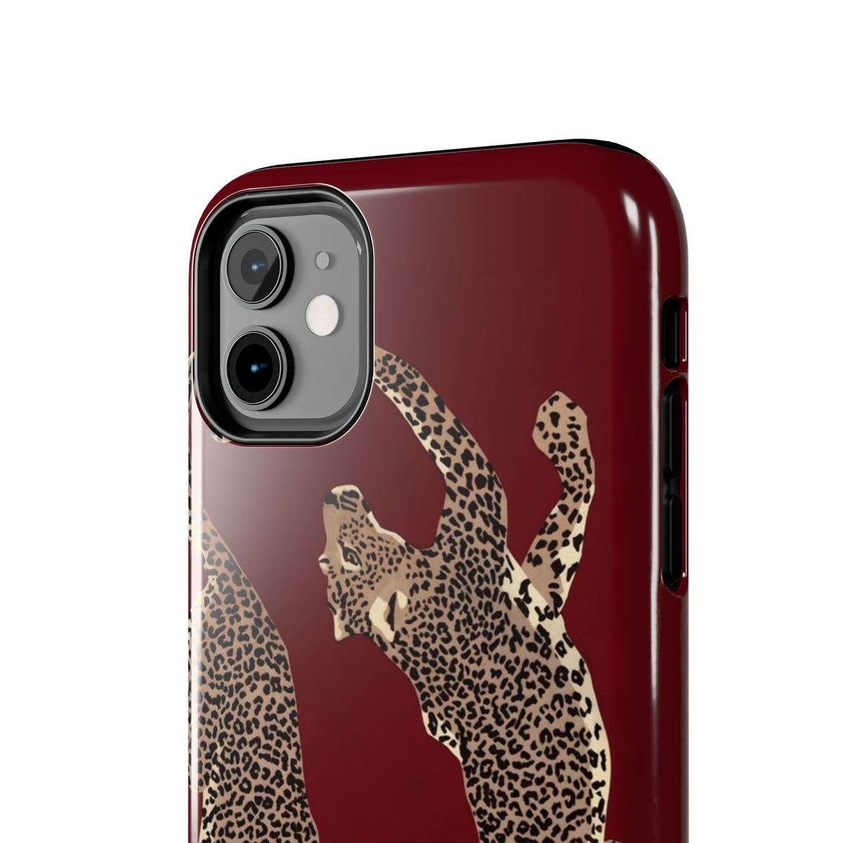 Twin Frame iPhone Case
