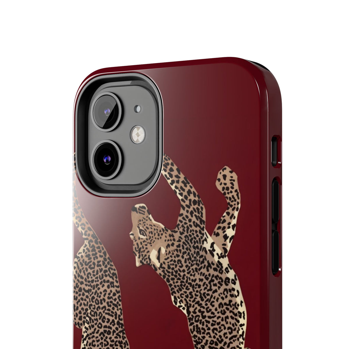 Twin Frame iPhone Case