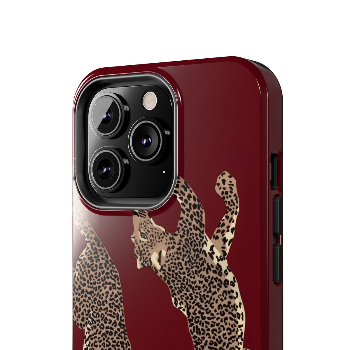 Twin Frame iPhone Case