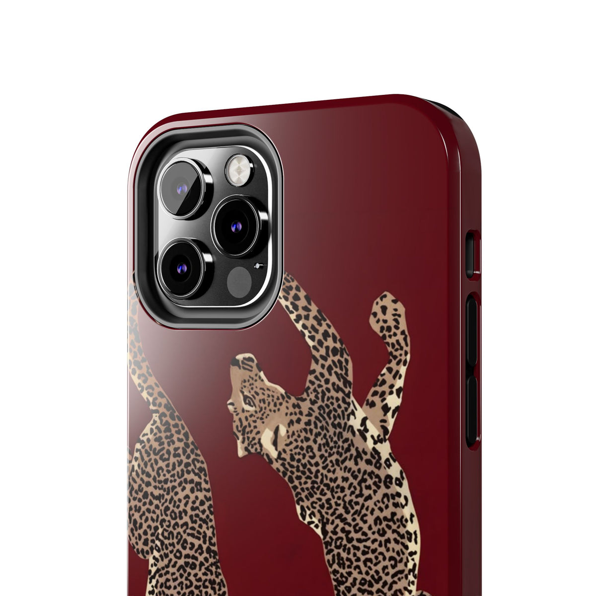 Twin Frame iPhone Case