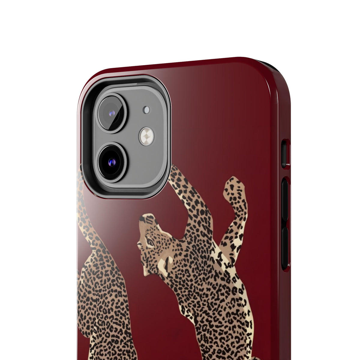 Twin Frame iPhone Case